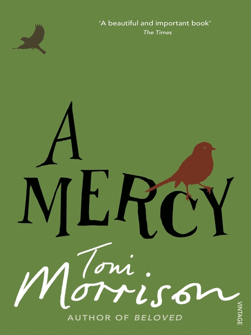 Title details for A Mercy by Toni Morrison - Wait list